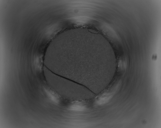 X0000101430868200807141239
