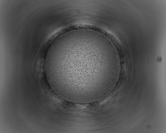 X0000101430870200807141239