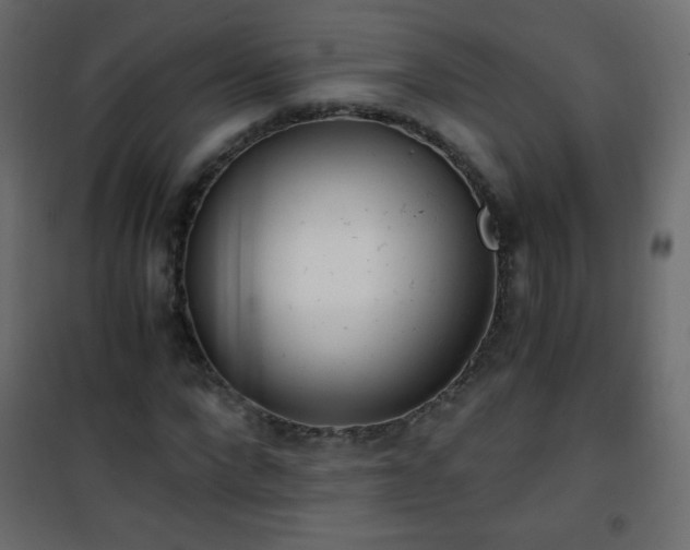 X0000101430872200807141239
