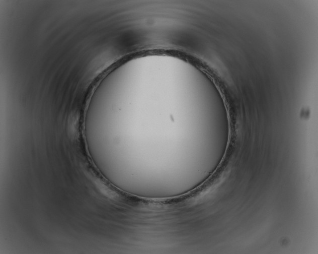 X0000101430873200807141239