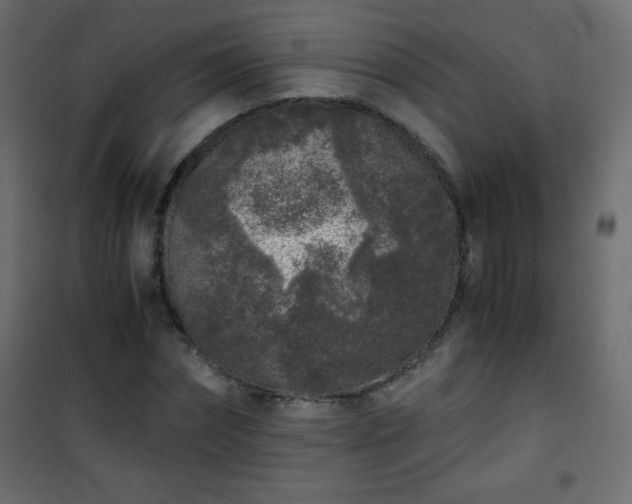 X0000101430874200807141239