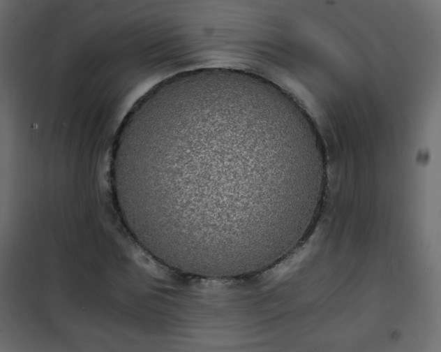 X0000101430875200807141239