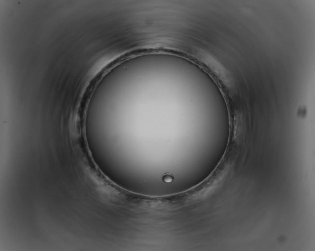 X0000101430876200807141239