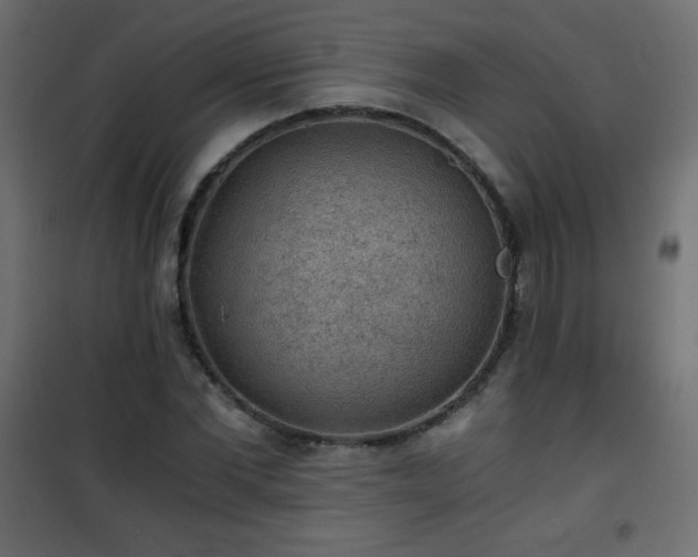 X0000101430877200807141239
