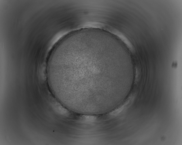 X0000101430878200807141239