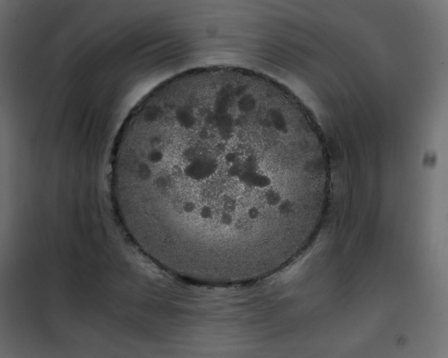 X0000101430879200807141239