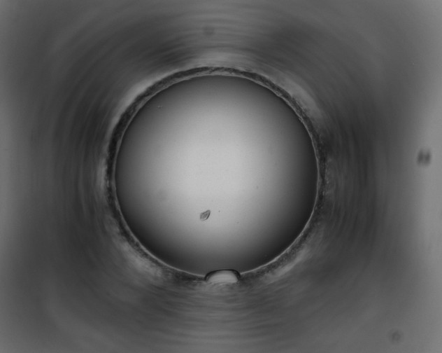 X0000101430880200807141239