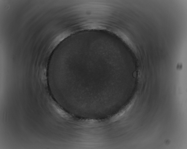 X0000101430881200807141239