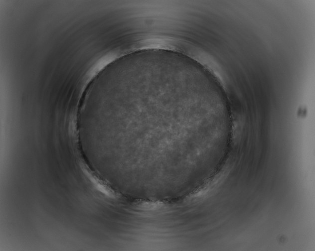 X0000101430882200807141239