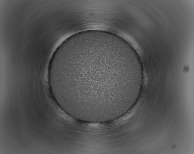 X0000101430883200807141239