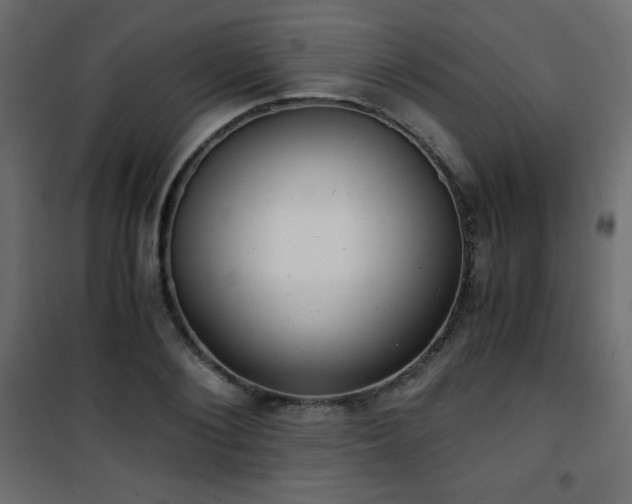 X0000101430884200807141239