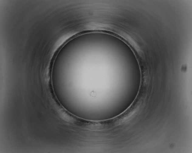 X0000101430885200807141239