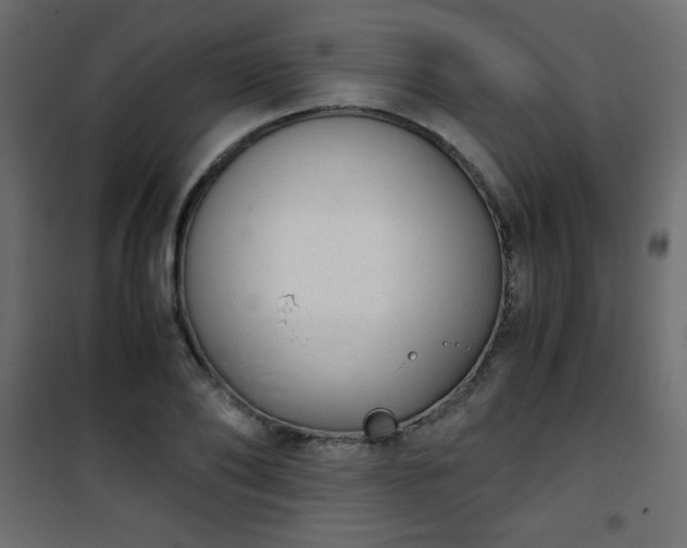 X0000101430886200807141239