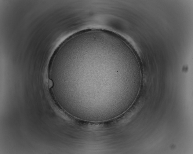 X0000101430887200807141239