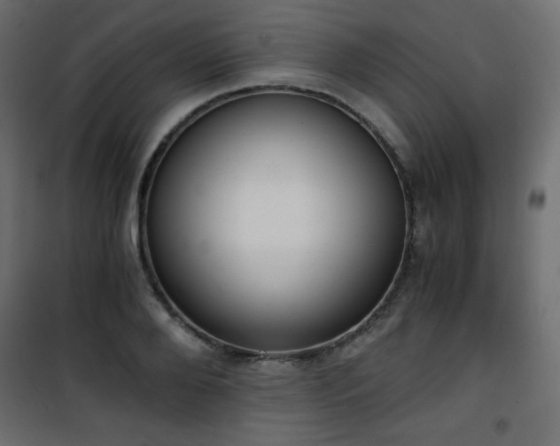 X0000101430888200807141239
