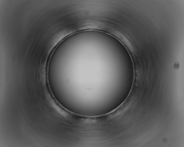 X0000101430890200807141239