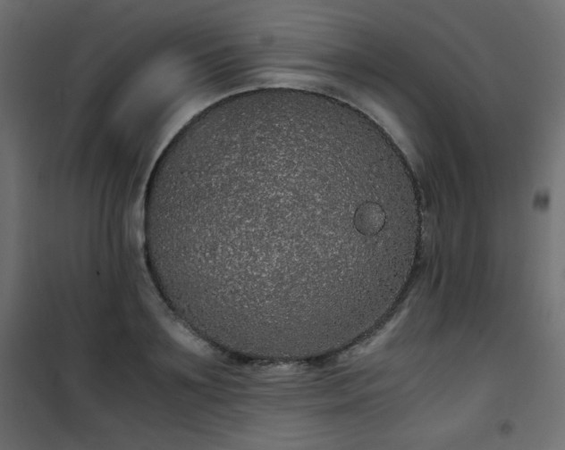 X0000101430891200807141239