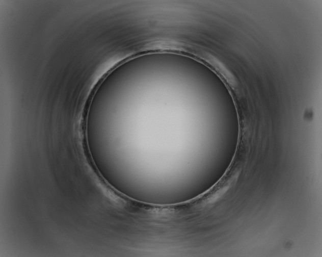 X0000101430893200807141238