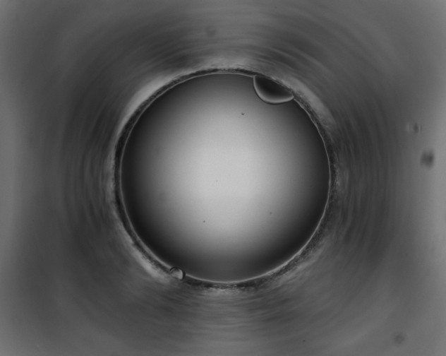 X0000101430894200807141238