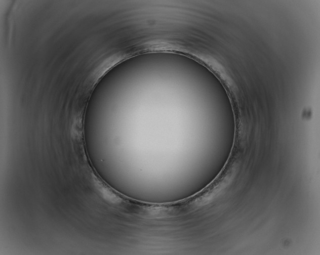 X0000101430897200807141238