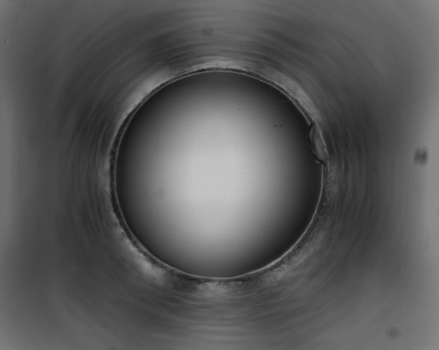 X0000101430898200807141238