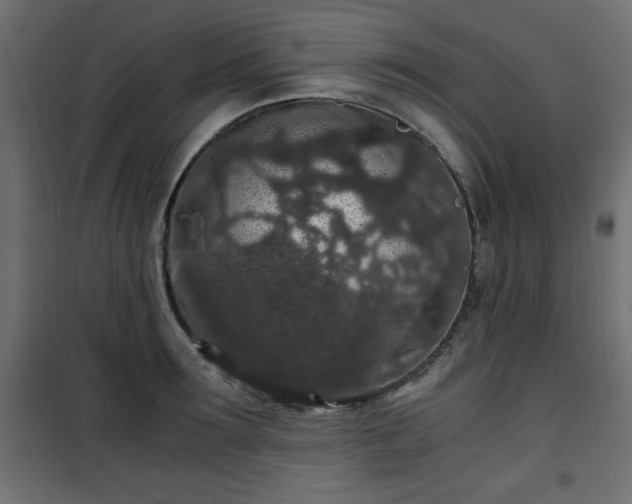 X0000101430899200807141238