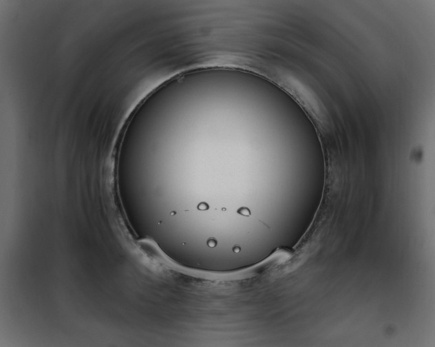 X0000101430900200807141238