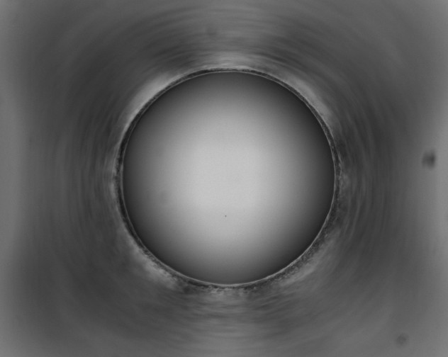 X0000101430901200807141238