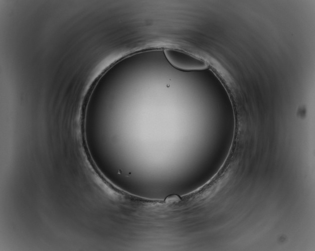X0000101430902200807141238