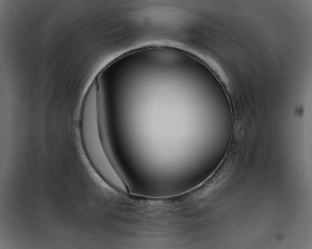 X0000101430903200807141238