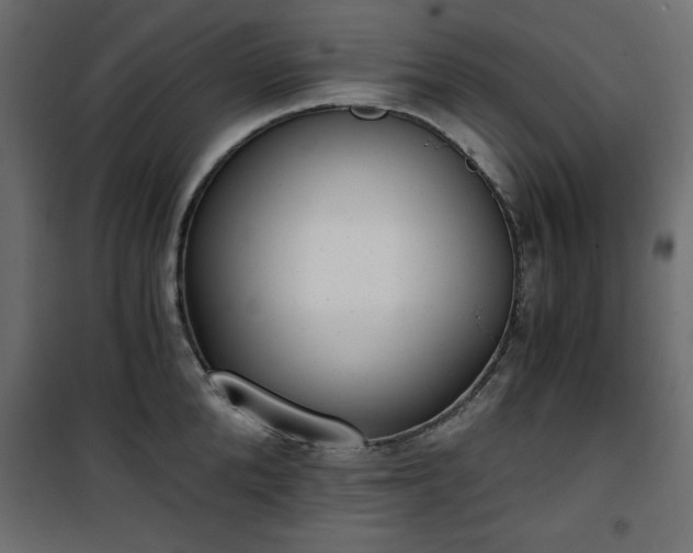 X0000101430904200807141238