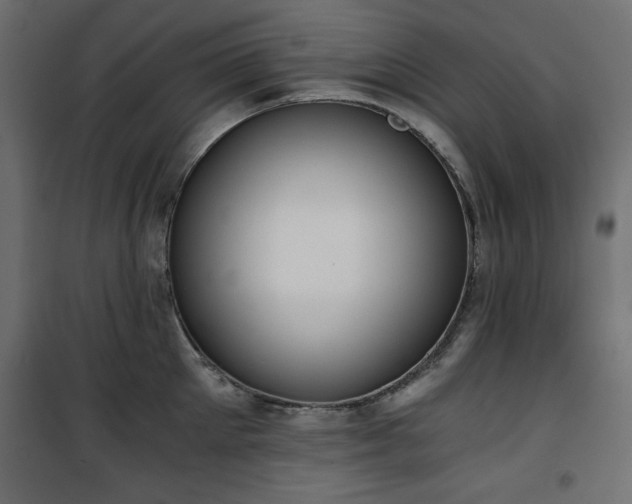 X0000101430905200807141238