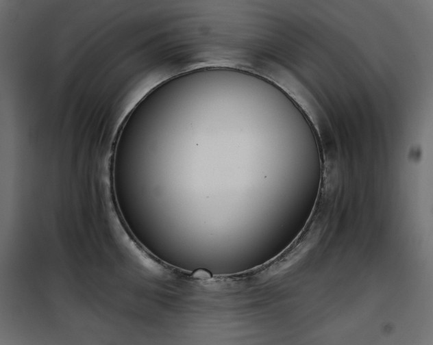 X0000101430906200807141238