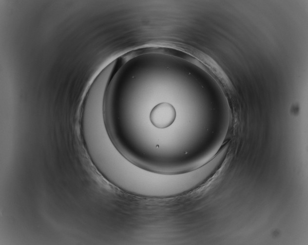 X0000101430908200807141238