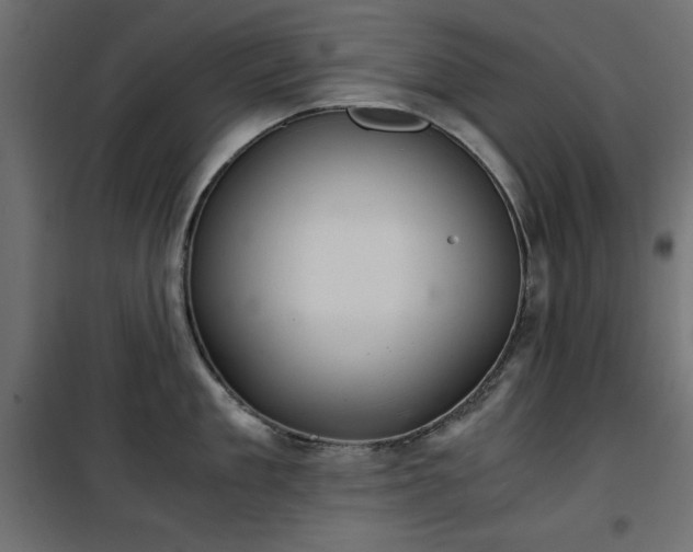 X0000101430909200807141238