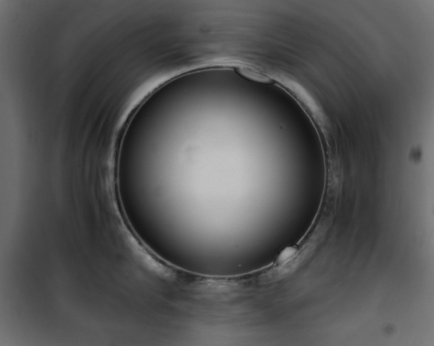 X0000101430910200807141238