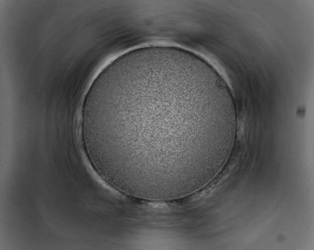 X0000101430911200807141238