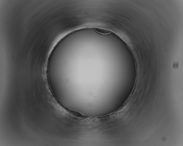 X0000101430912200807141238