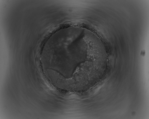 X0000101430913200807141237