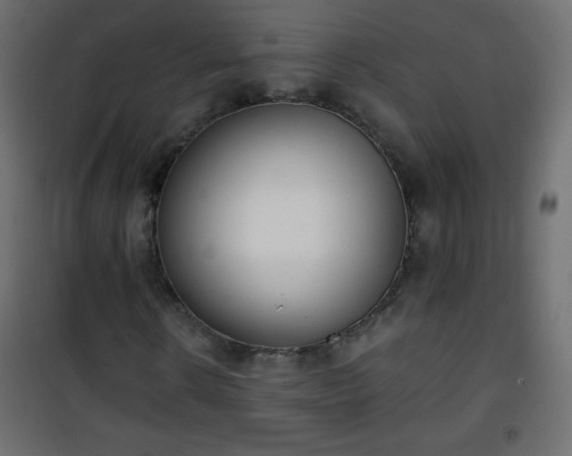 X0000101430914200807141237