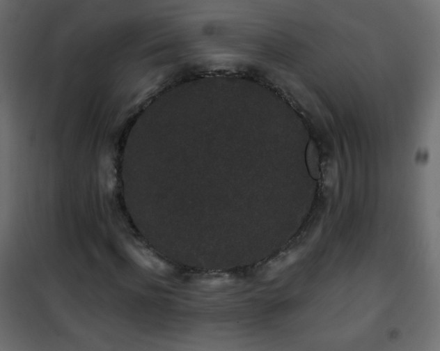 X0000101430916200807141237