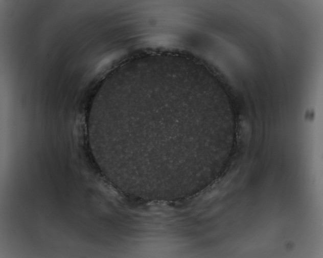 X0000101430918200807141237