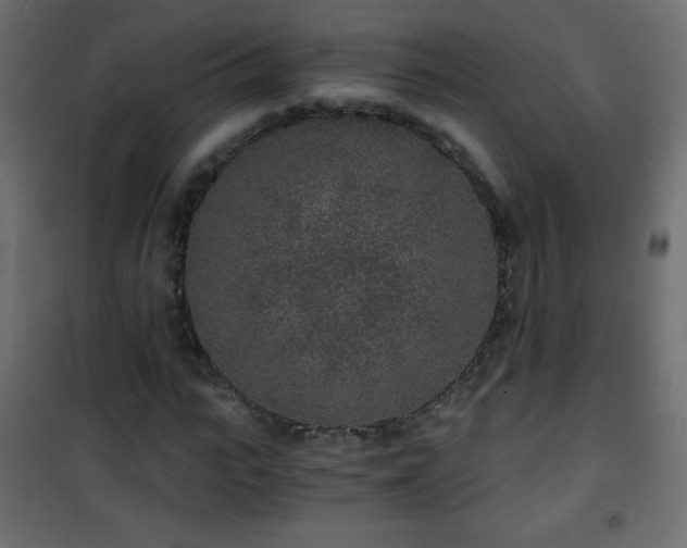 X0000101430919200807141237