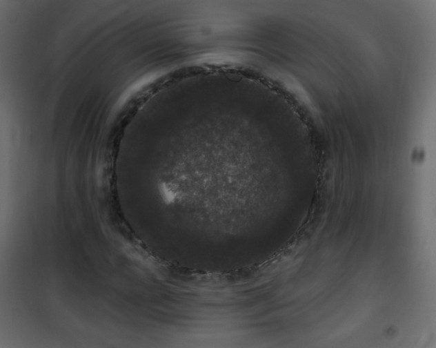 X0000101430920200807141237