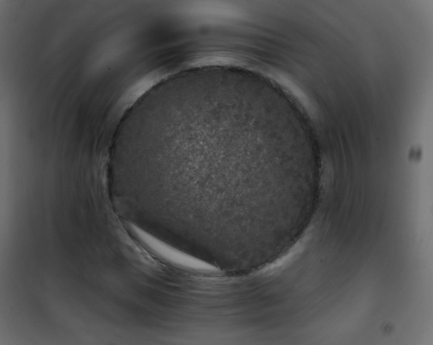 X0000101430921200807141238