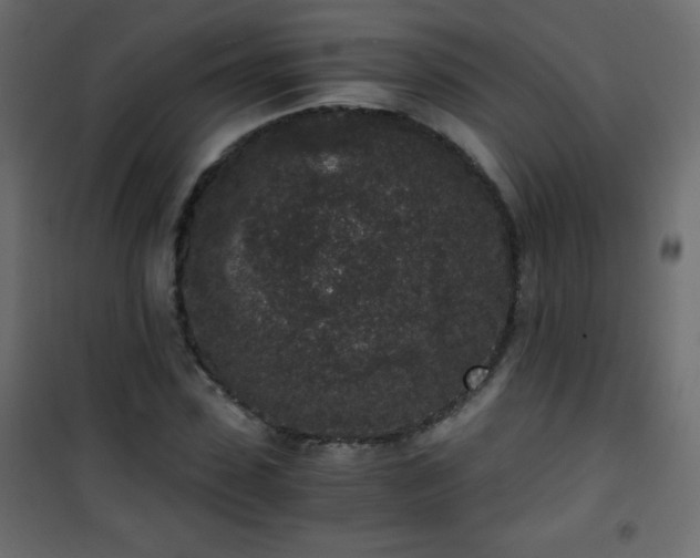 X0000101430923200807141238