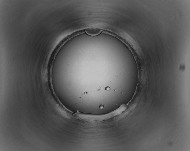 X0000101430924200807141238