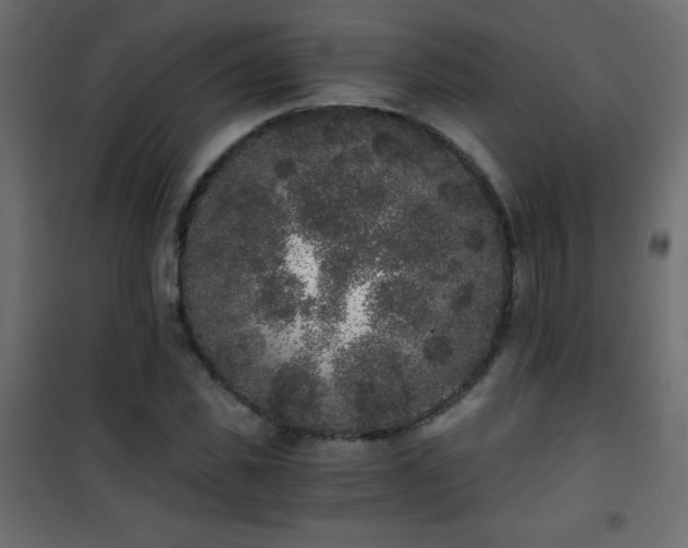 X0000101430925200807141238