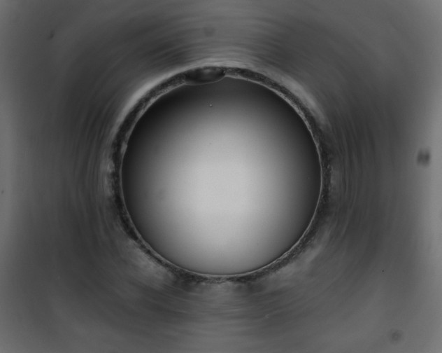 X0000101430926200807141238