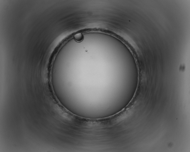 X0000101430927200807141238